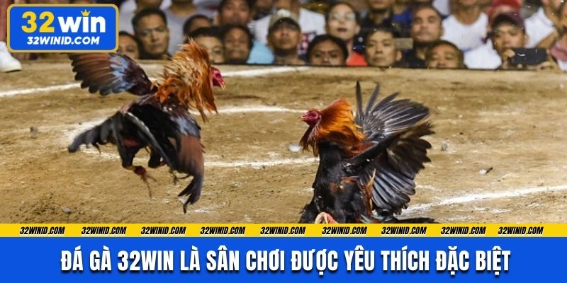 Đá gà 32win là sân chơi được yêu thích đặc biệt