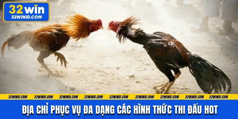 Địa chỉ phục vụ đa dạng các hình thức thi đấu hot