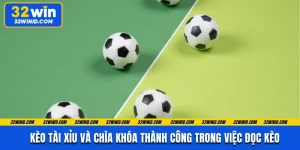 Kèo Tài Xỉu Và Chìa Khóa Thành Công Trong Việc Đọc Kèo