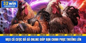 Mẹo Cá Cược Đá Gà Online Giúp Bạn Chinh Phục Thưởng Lớn