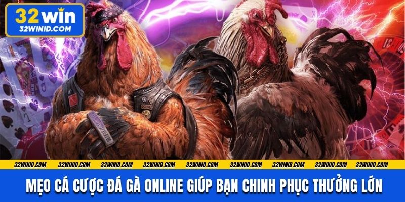 Mẹo Cá Cược Đá Gà Online Giúp Bạn Chinh Phục Thưởng Lớn