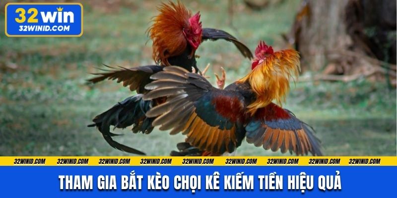Tham gia bắt kèo chọi kê kiếm tiền hiệu quả